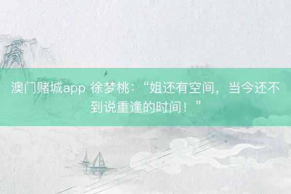 澳门赌城app 徐梦桃：“姐还有空间，当今还不到说重逢的时间！”