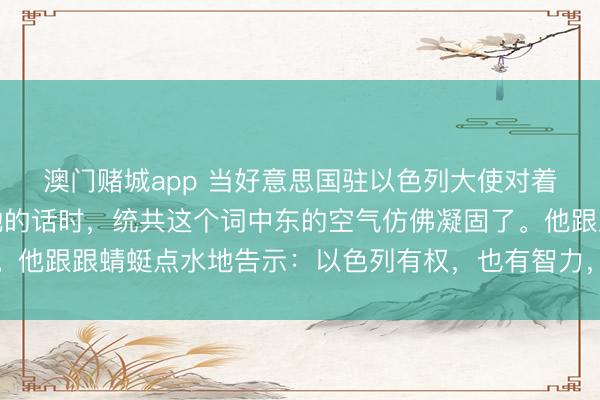 澳门赌城app 当好意思国驻以色列大使对着镜头说出那句震天动地的话时，统共这个词中东的空气仿佛凝固了。他跟跟蜻蜓点水地告示：以色列有权，也有智力，截止统共这个词中