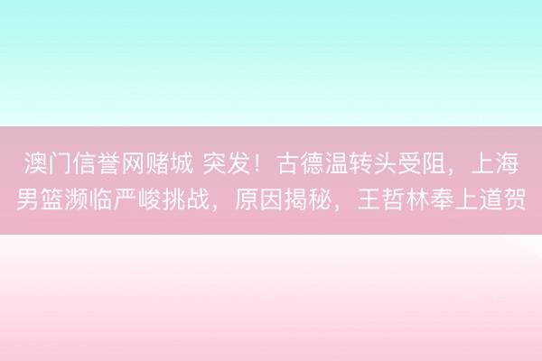 澳门信誉网赌城 突发!古德温转头受阻,上海男篮濒临严峻挑战,原因揭秘,王哲林奉上道贺